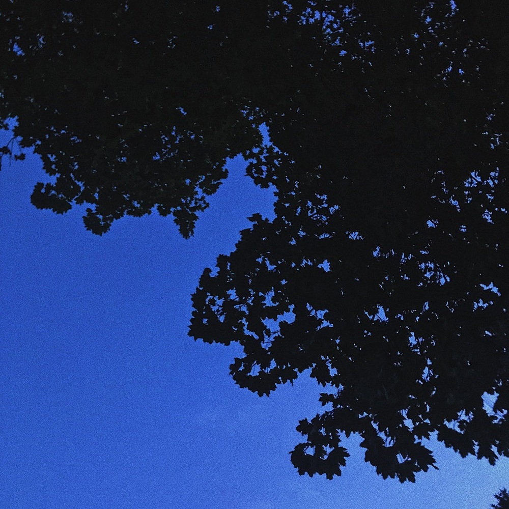 Meet your Posher, Keagan